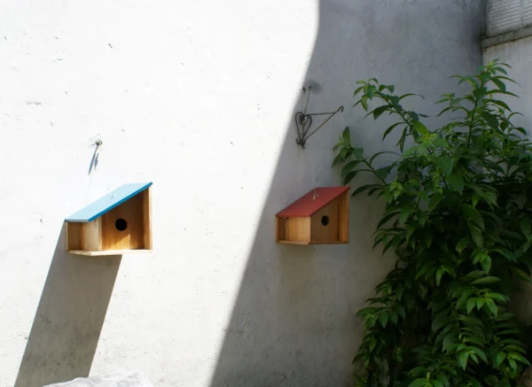 Casa de aves Mónica - Imagen 3