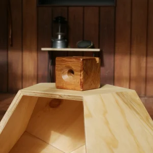 Amplificador