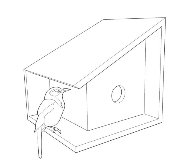 Casa de aves Mónica - Imagen 2